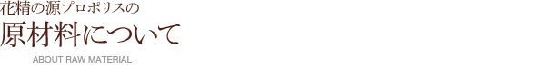 v|X̌ޗɂ