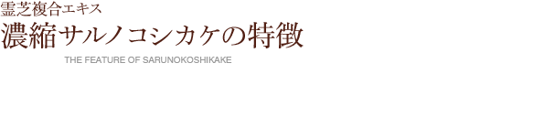 ŕGLX@ZkTmRVJP̐̓