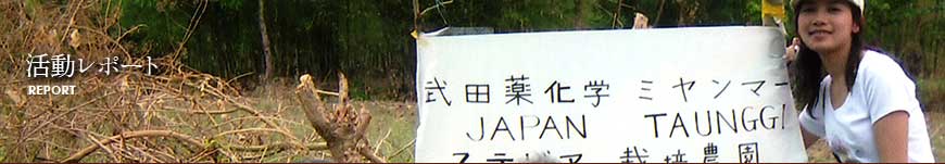 活動レポート